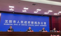 沈阳最新爆料新闻,揭秘某重大事件背后真相